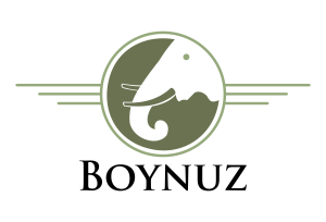 Boynuz Logo
